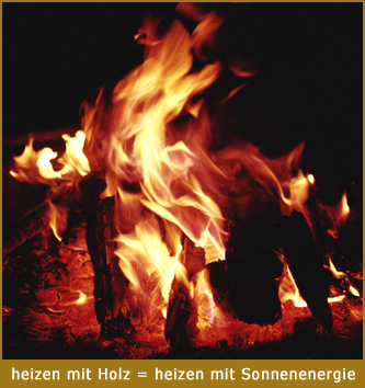 Holzfeuer